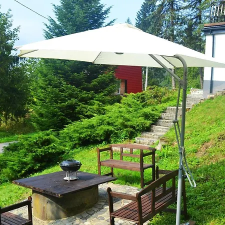 Platinum * Wisla