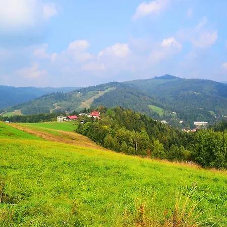 Platinum Wisla