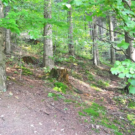 Platinum Wisła