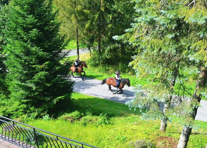 Platinum Oda ve Kahvaltı 3*